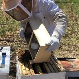 Apiary video thumbnail