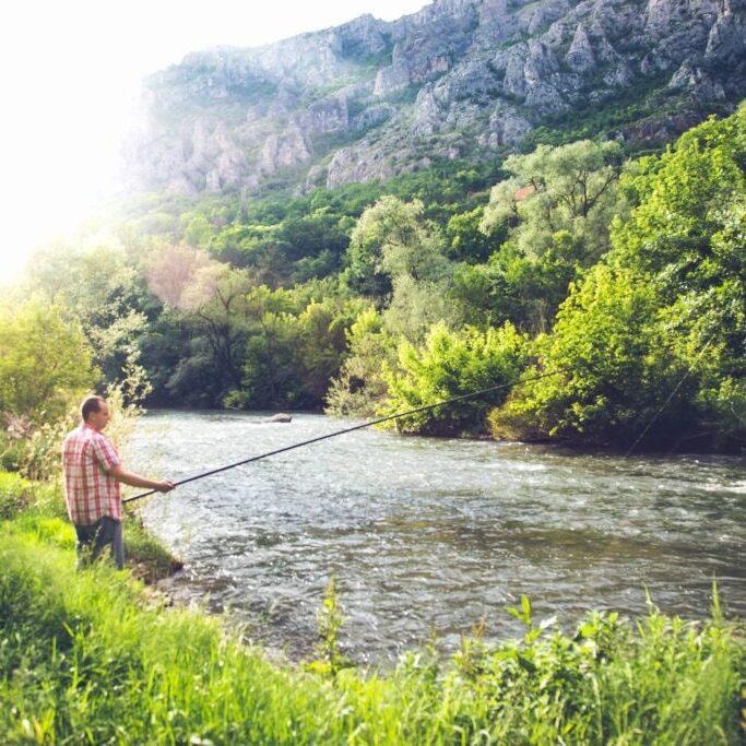 Save Our Streams (SOS)
