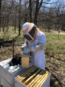 Bees_1 Opening the Packages